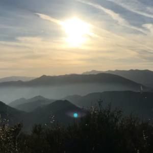 Meet your Posher, Jes